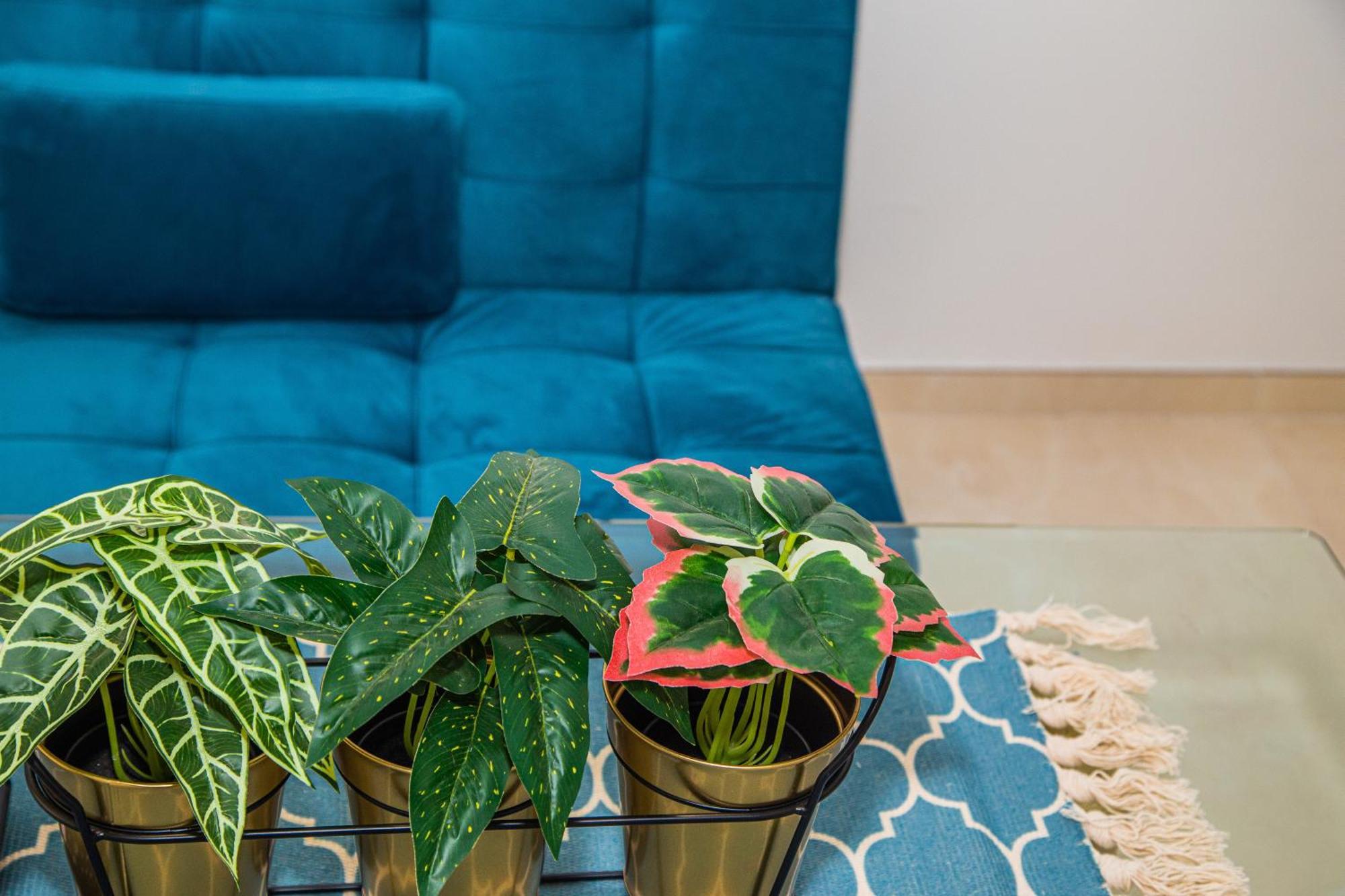 Centro Sandoval Apartamento Córdoba