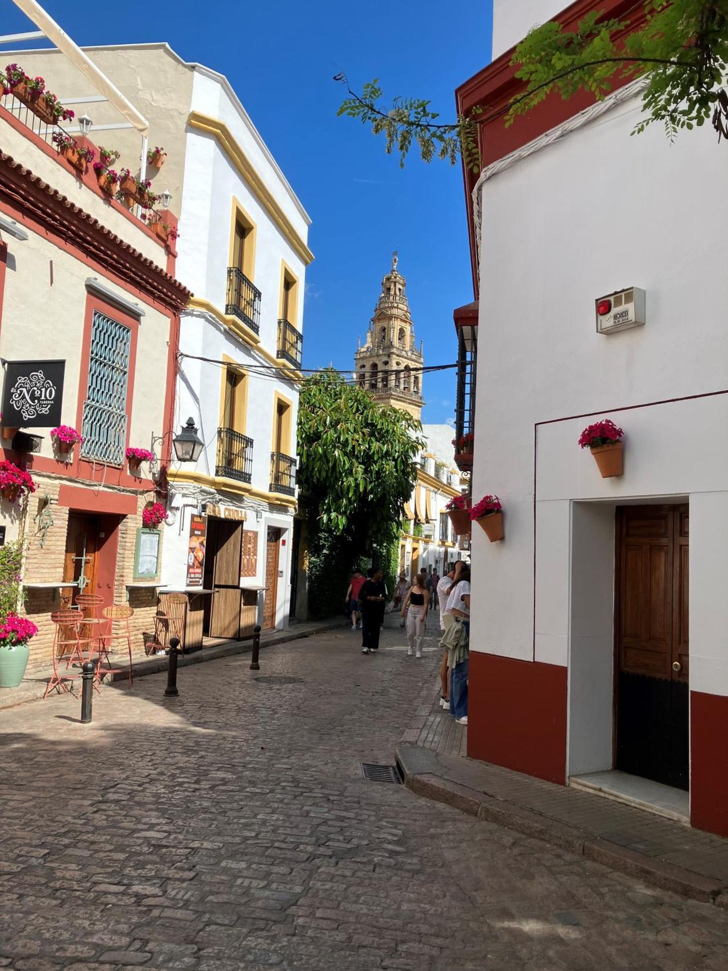 Precioso Junto A La Mezquita Apartment *