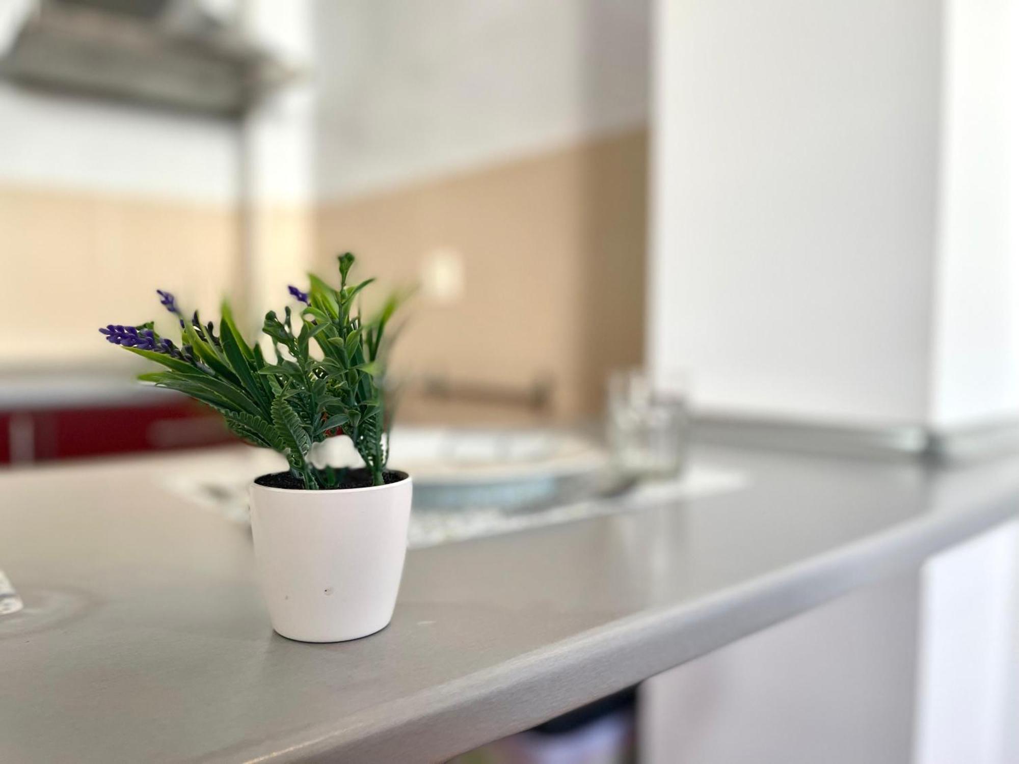 Apartamento El Alma De Miraflores