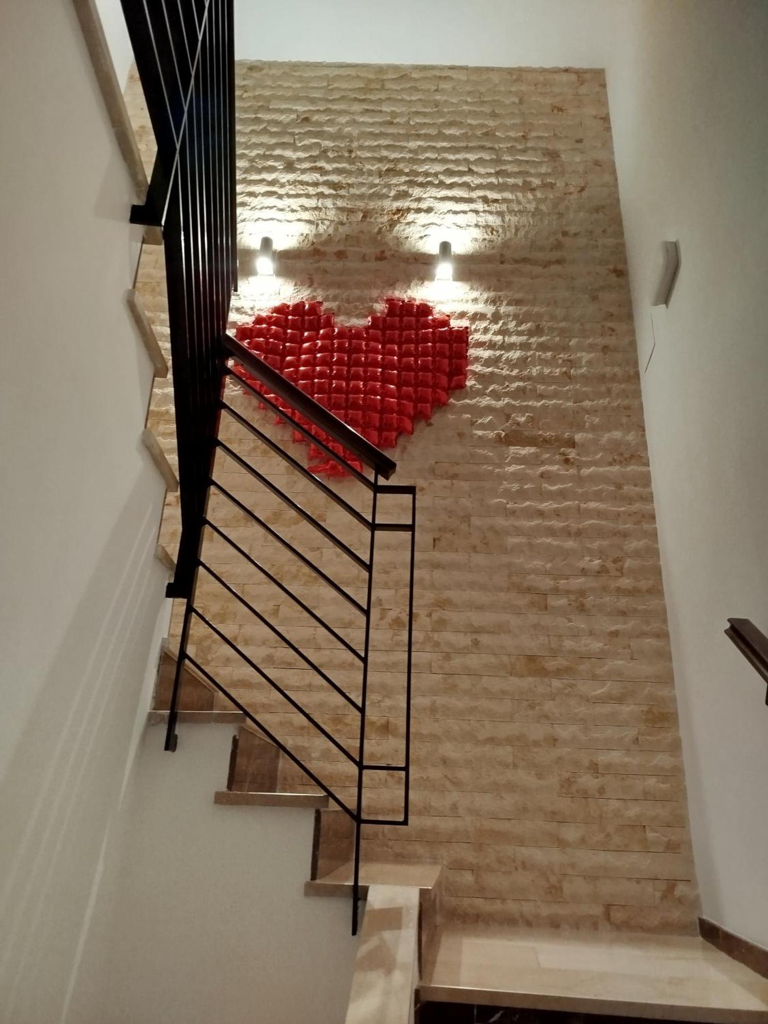 La Casa De La Mimosa *