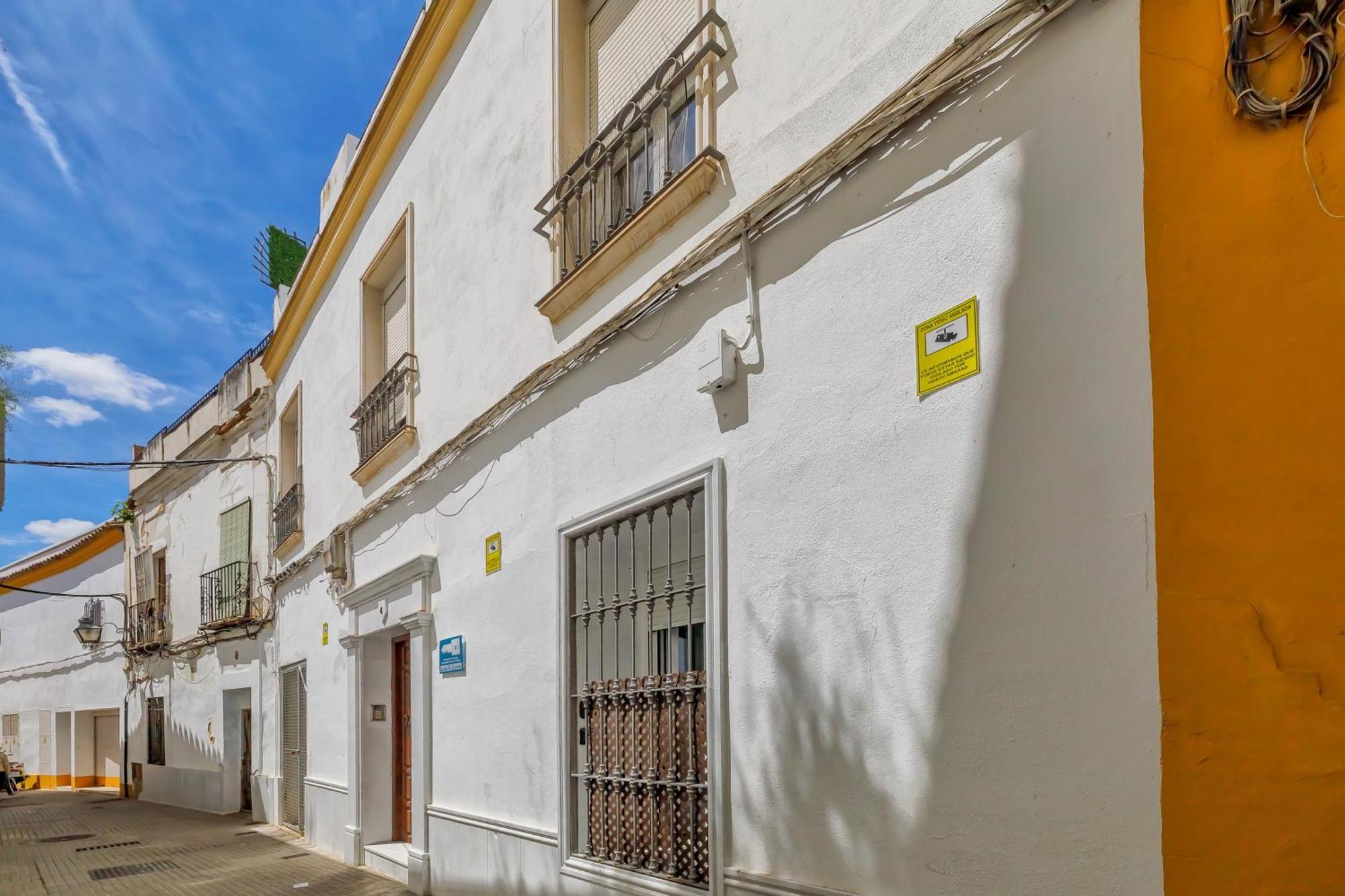 Apto Tendillas Centro Terraza - Oliva Suite Apartamento *