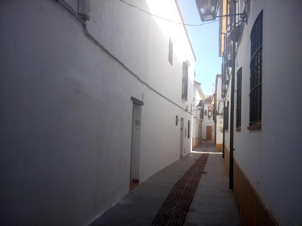Patio Del Limonero