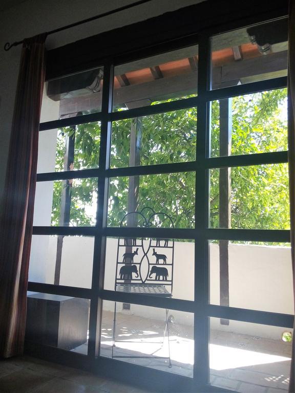 Patio Del Limonero *