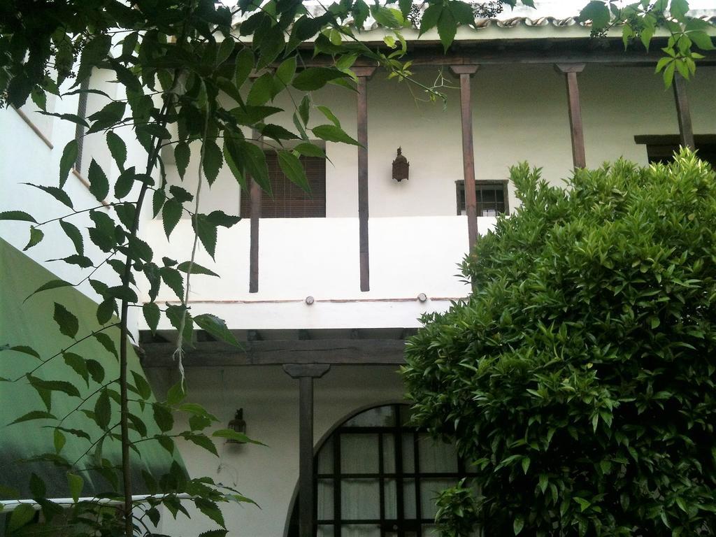 Patio Del Limonero Córdoba