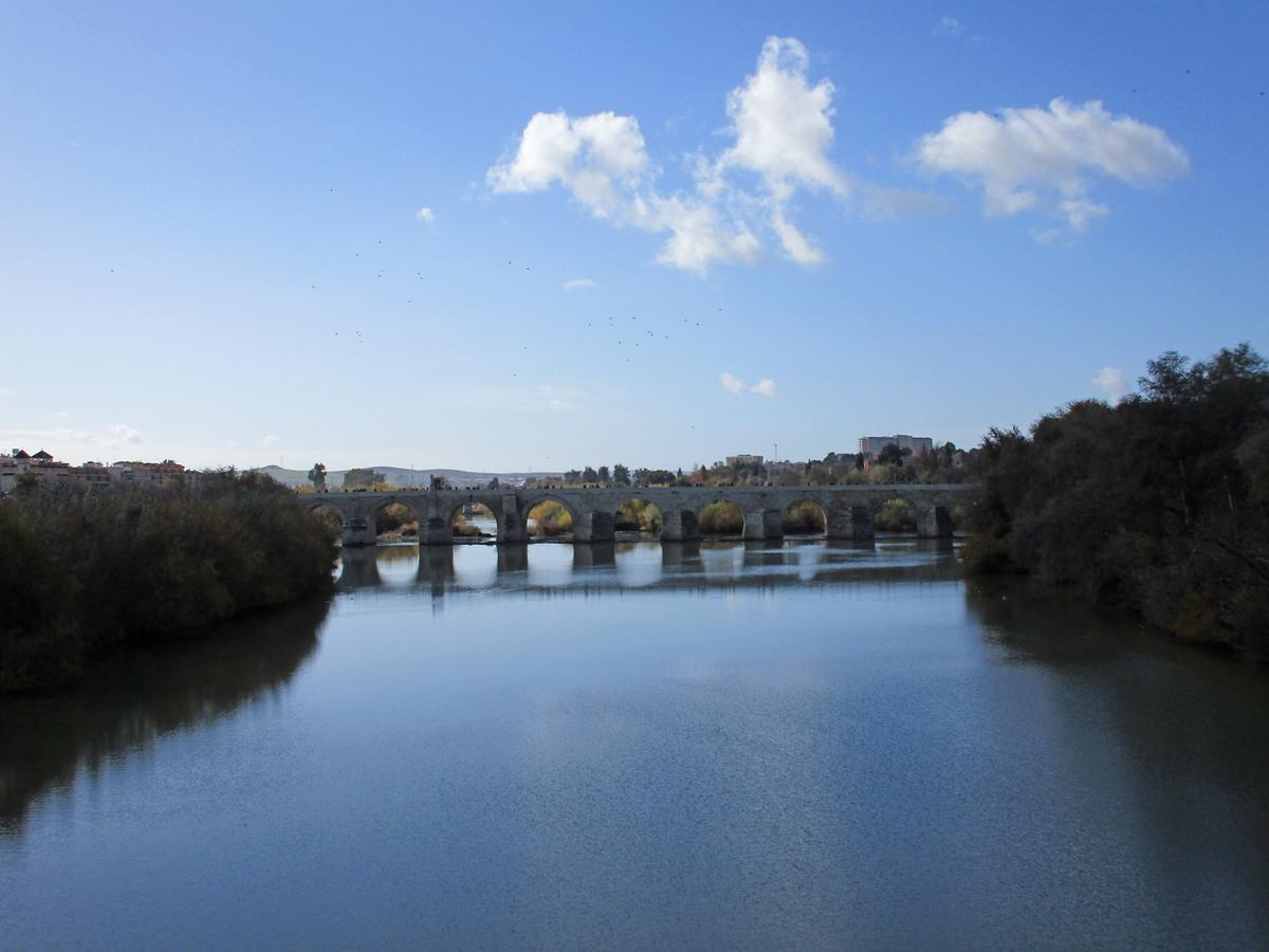 Con Encanto Lubi I Apartment Cordoba
