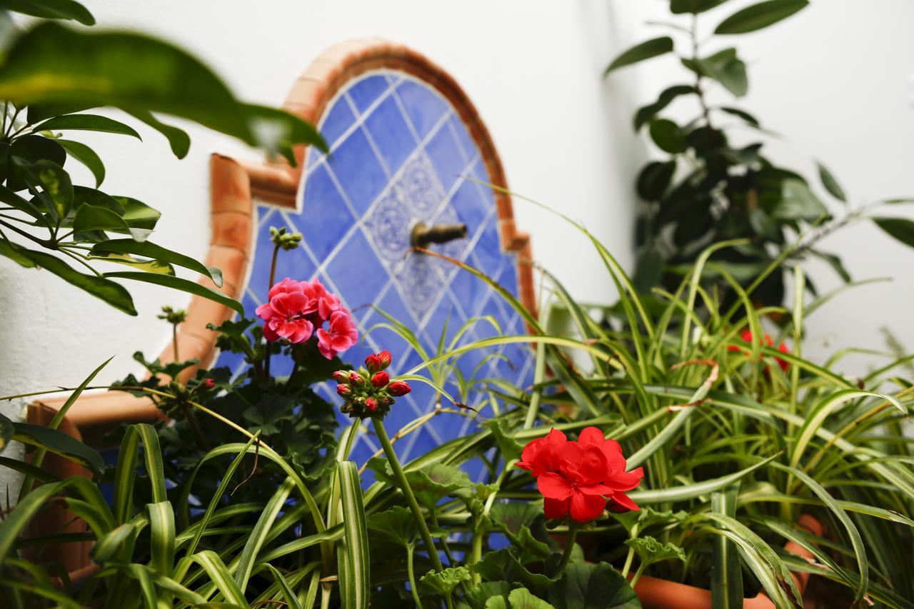 La Casa Del Río * Córdoba