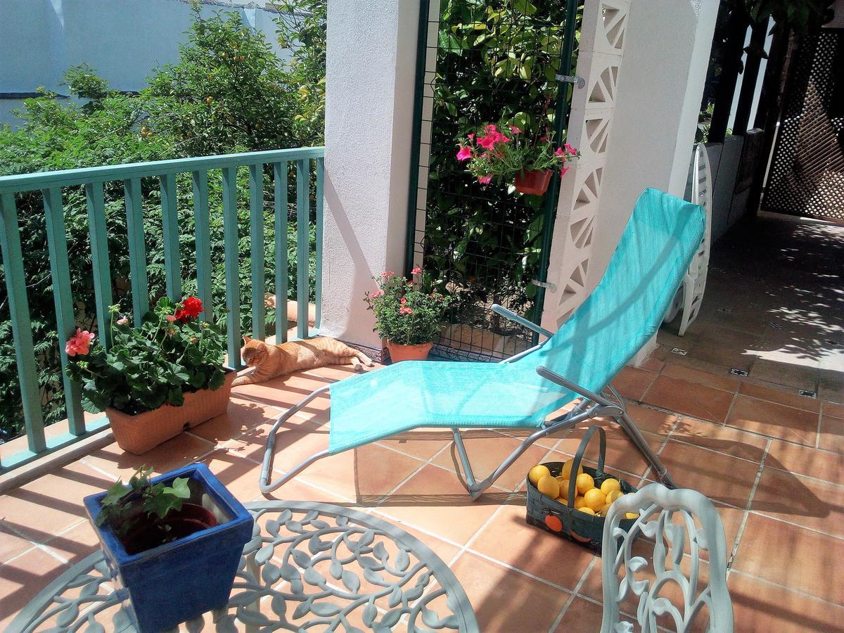 Patio Del Limonero Córdoba