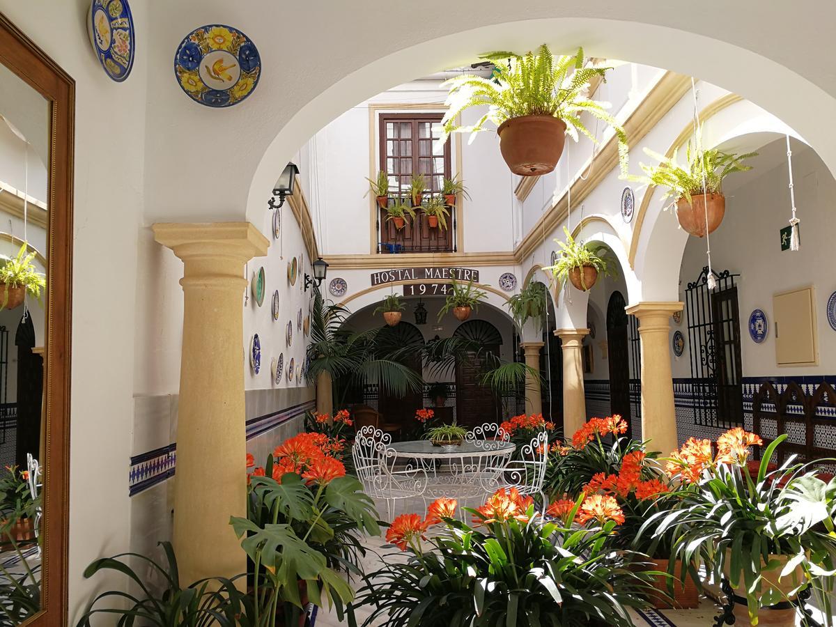 Maestre * Cordoba