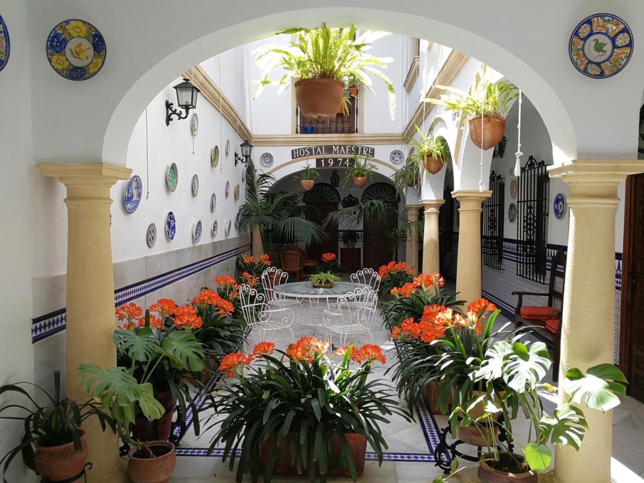 Guest house Maestre *