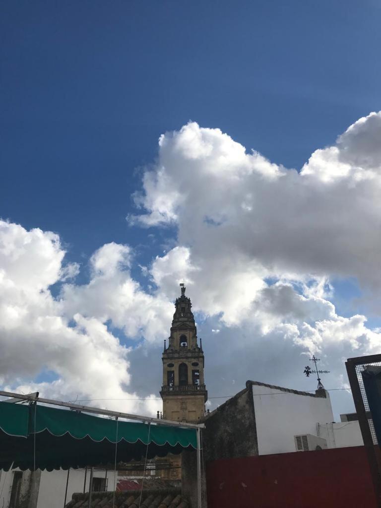 Seneca Córdoba