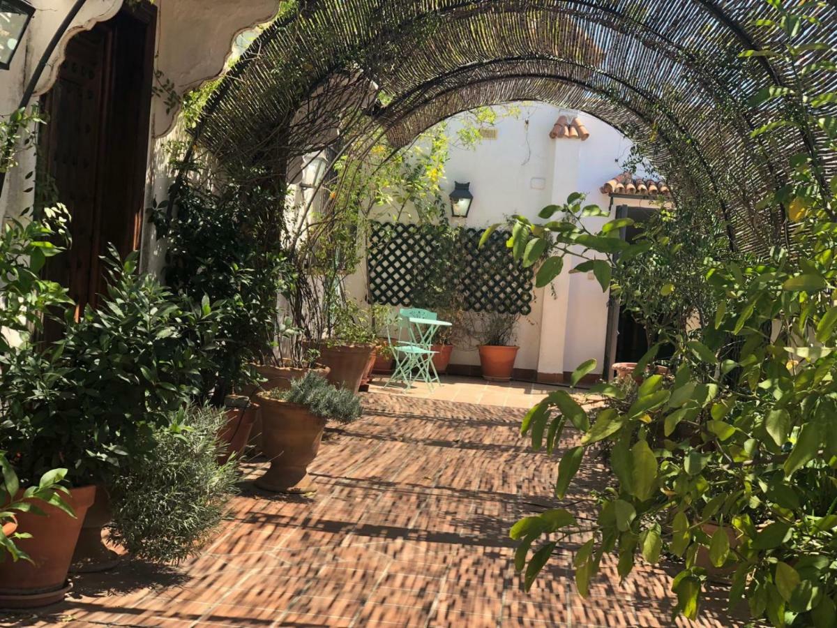 Cool Vailima Apartment Cordoba
