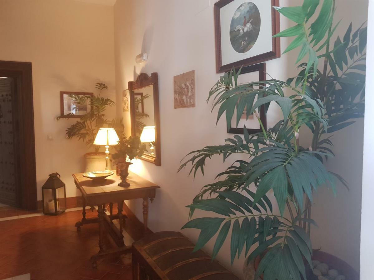 Apartment Cool Vailima Cordoba
