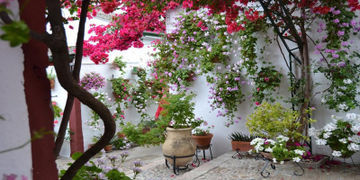 Hotel Carpe Diem Córdoba