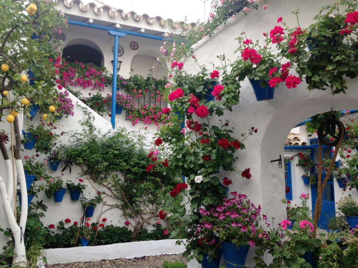 Patio San Lorenzo Cordoba