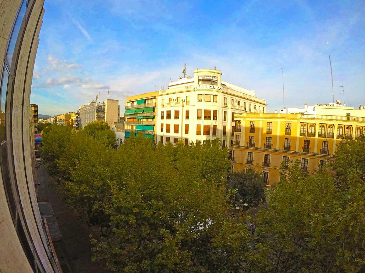 Gran Bulevar * Cordoba