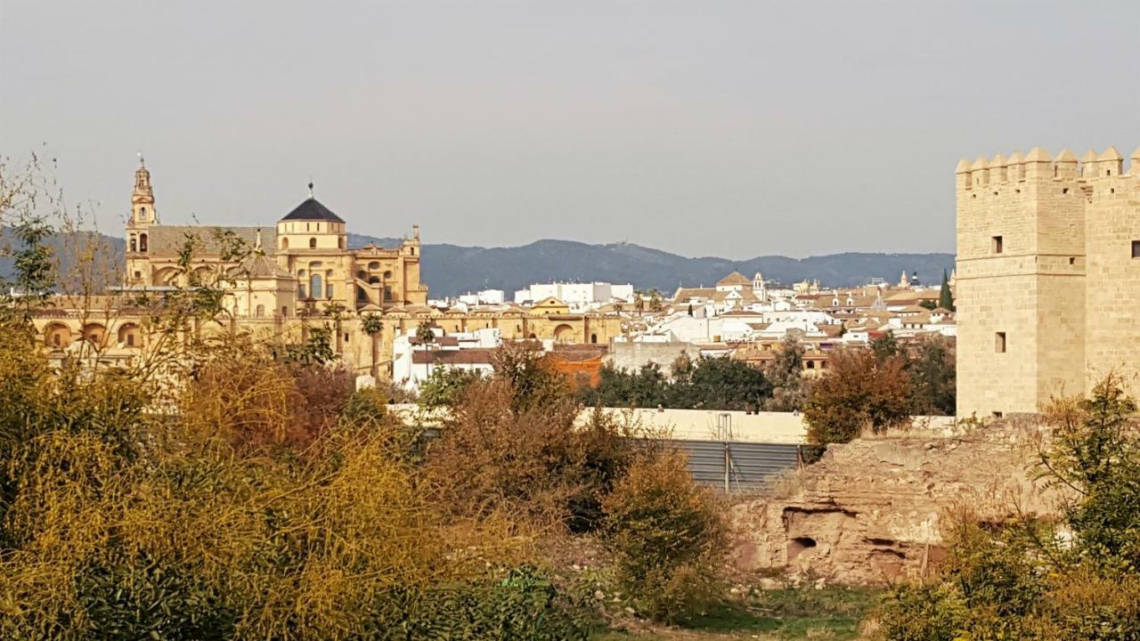 Mezquita Con Cochera Apartamento