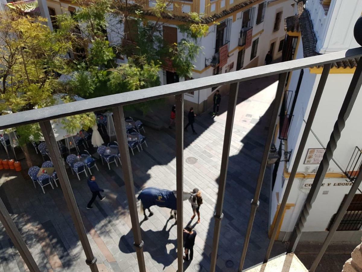 Apartamento El Balcón De La Juderia