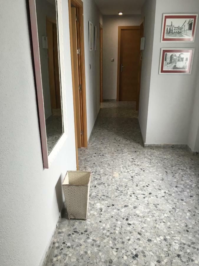 Apartamento Piso Plaza La Compañía