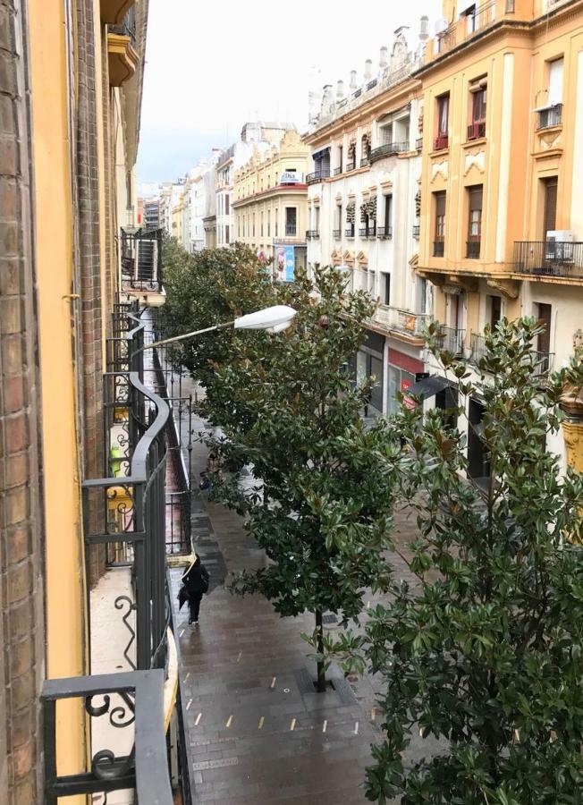 Entre Magnolios *