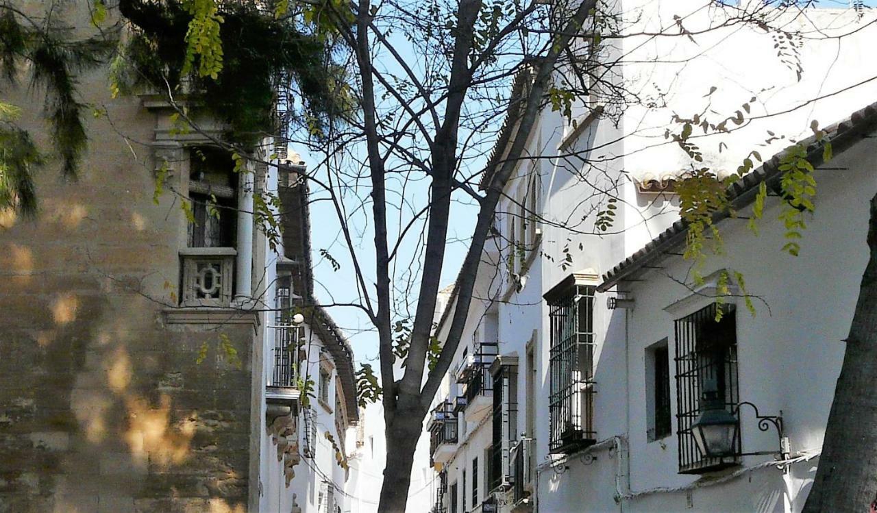 Deanes 5 Apartamento Lola5 *