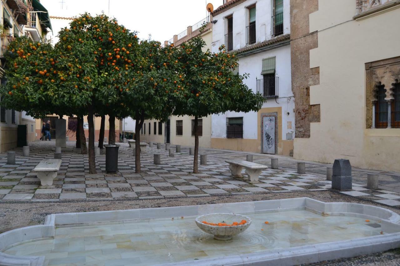 Apartamento Mezquita