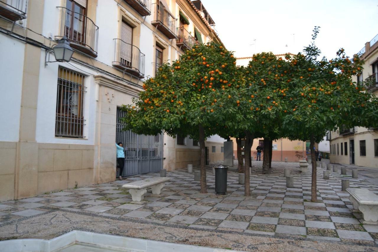 Apartamento Mezquita *