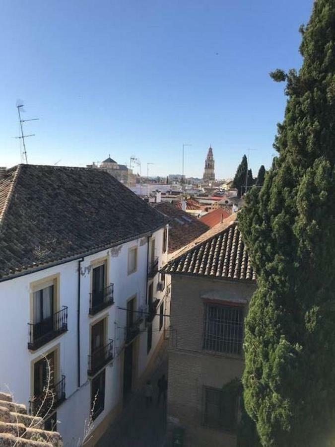 Apartamento Séneca *