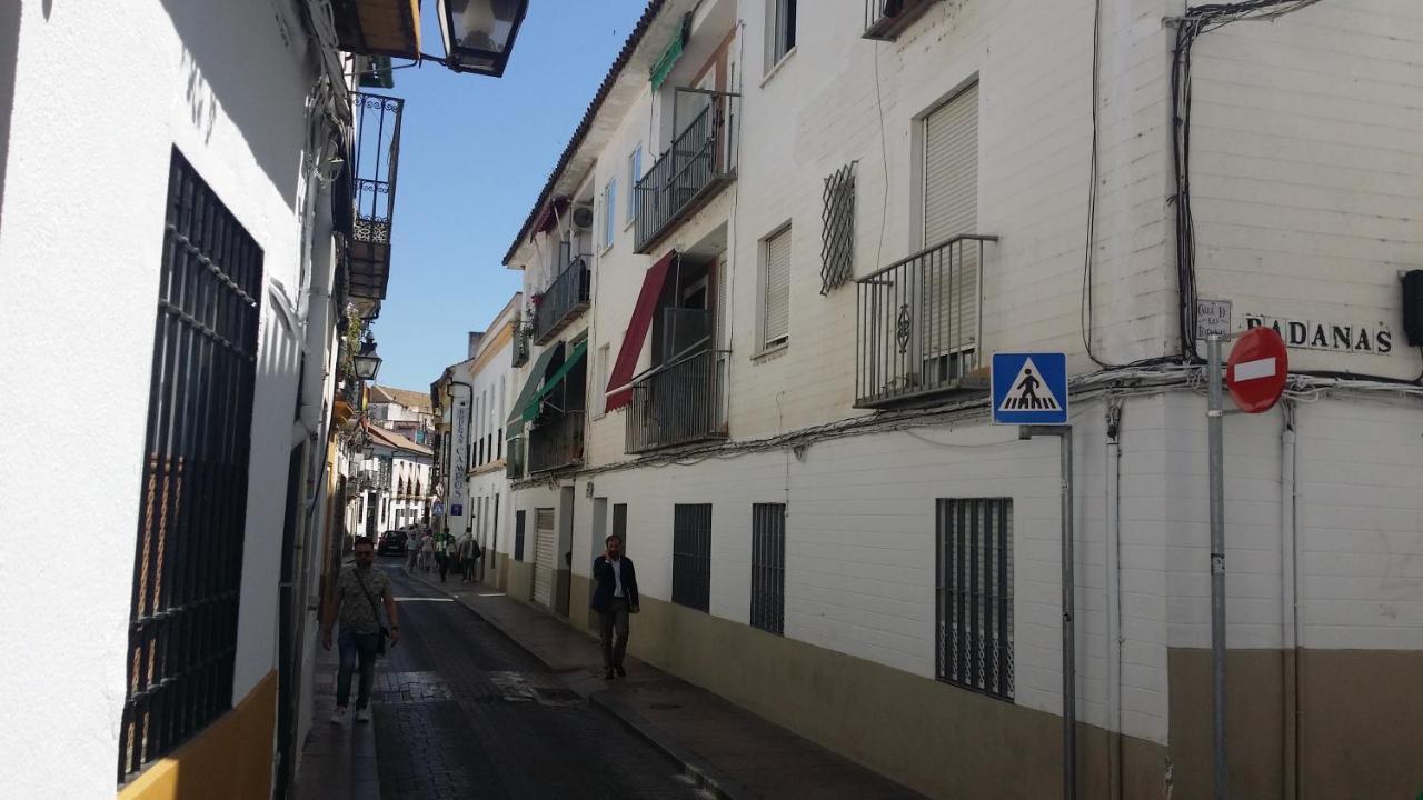 Lineros 24
