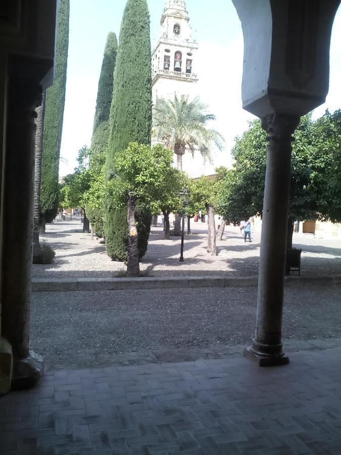 Lineros 24 * Córdoba