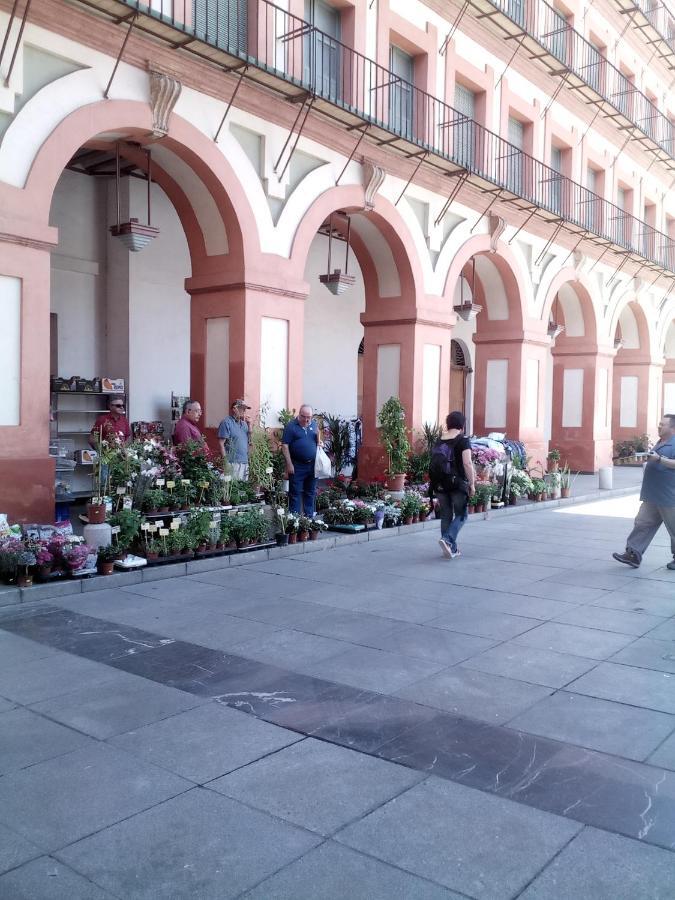 Apartamento Lineros 24