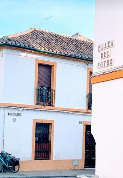 Casa Ribera Lucano Centro Historico * Cordoba