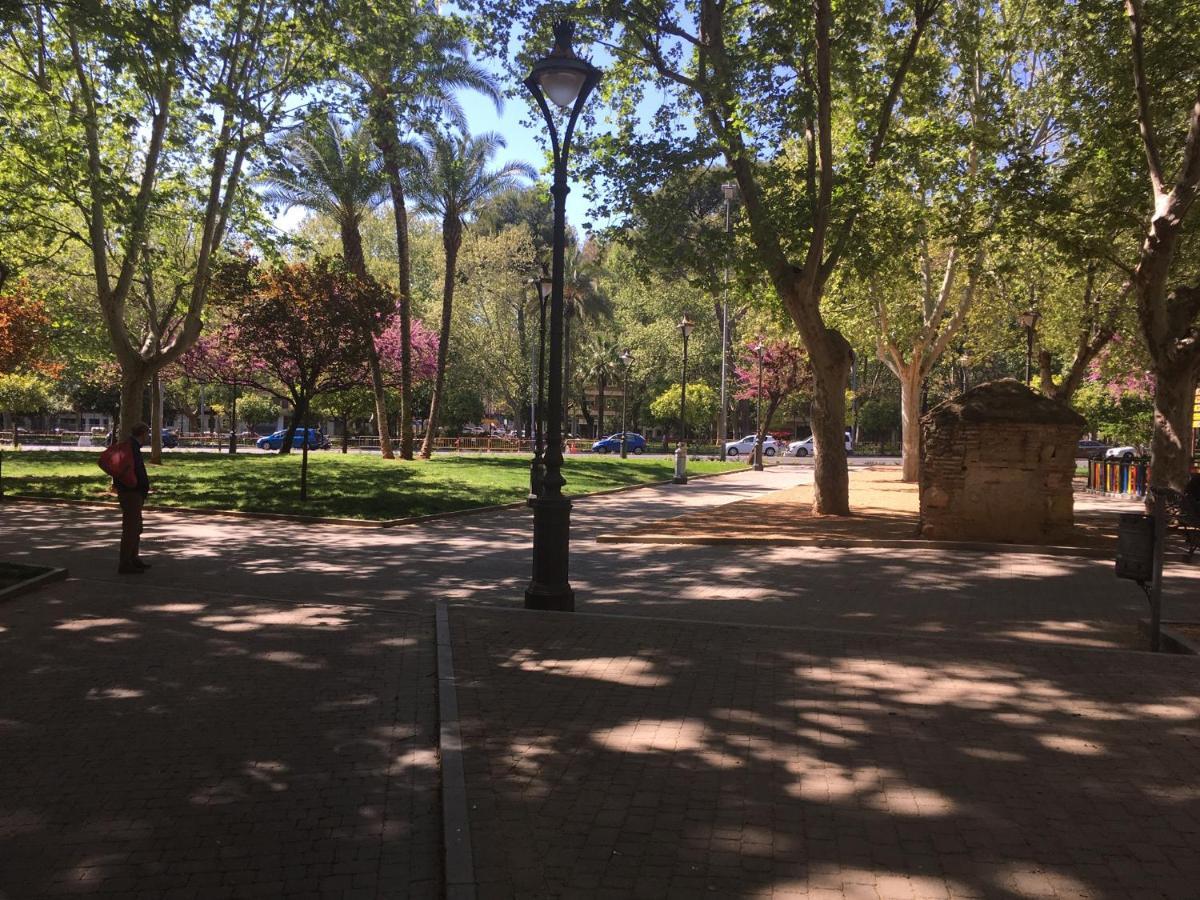 Apartamento La Condesa De Vallellano Córdoba