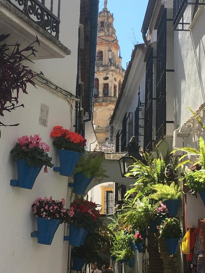La Condesa De Vallellano Córdoba