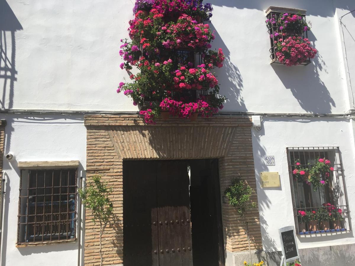 La Condesa De Vallellano Apartamento