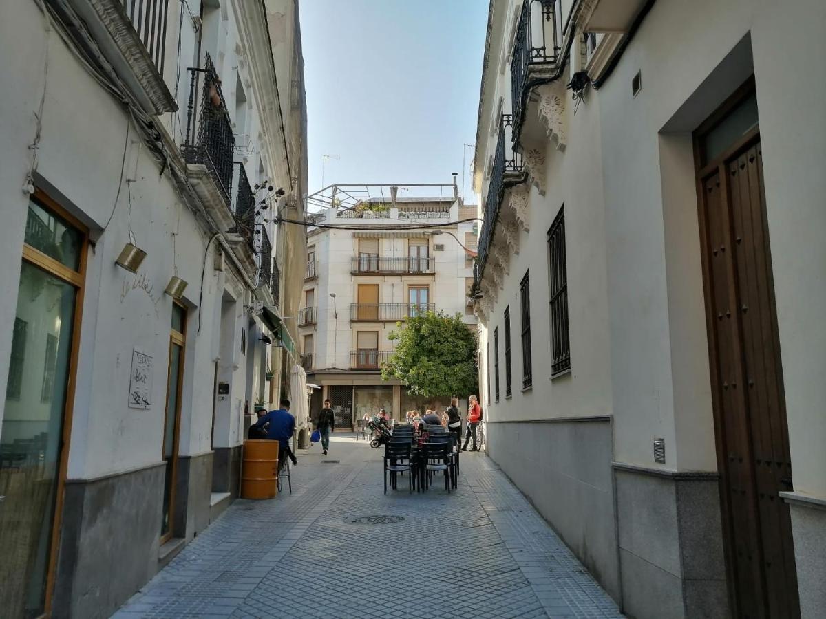 En Apto. Templo Romano Córdoba
