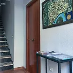 Los patios “ El Carmen”