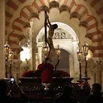 Flor de Naranjo