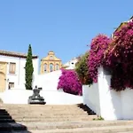 Flor de Naranjo