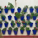 Apartamento Toril-Casco Histórico