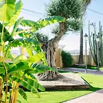 Casa rural El Olivo de Córdoba