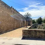 Las Flores de San Basilio