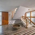 La Perla Del Centro
