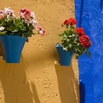 Apartamento Campo La Verdad