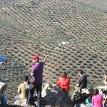 Cortijo Era Grande 2
