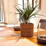 Apartamento En Pleno Centro Con Aparcamiento Opcional