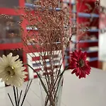 Apartamento Alborada