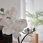 Posada La Juderia I