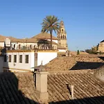 Entre patios y flores