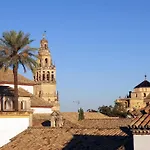 Entre patios y flores