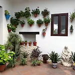 Entre patios y flores